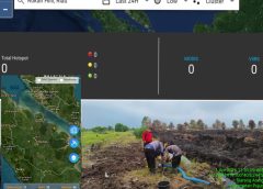 BPBD Rohil Pastikan Kabut di Bagansiapiapi Fenomena Alami, Bukan Asap Karhutla